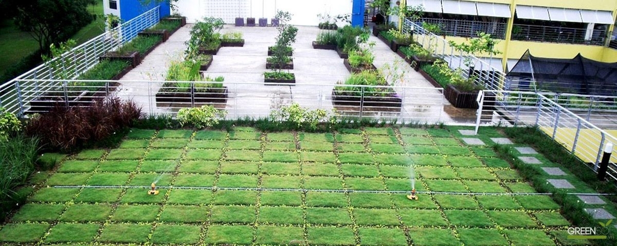 Giải pháp vườn trên mái sử dụng vỉ thoát nước Plantercell 50